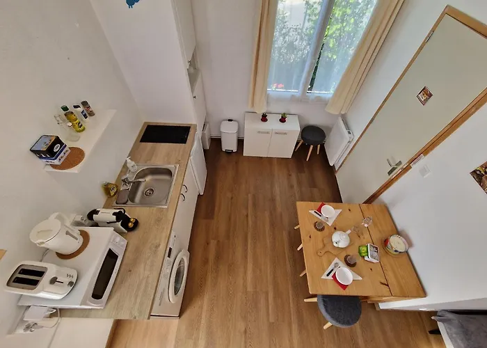 Tiny House Avec Jardin Spacieux