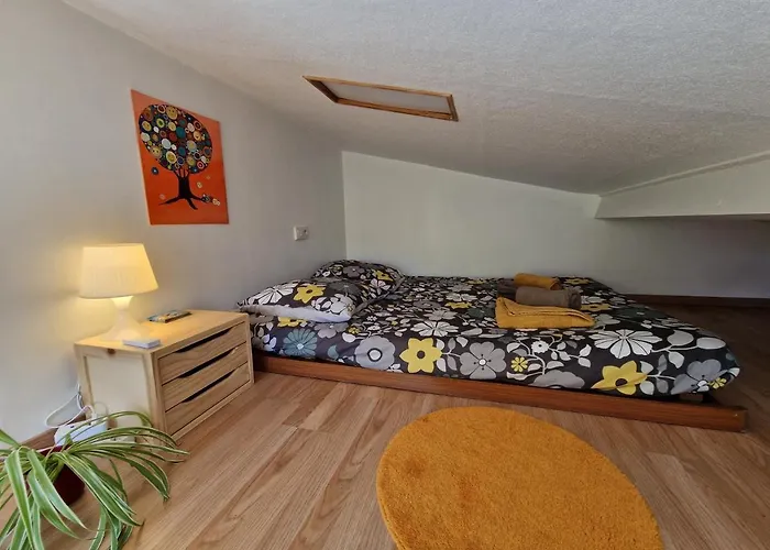 Tiny House Avec Jardin Spacieux *