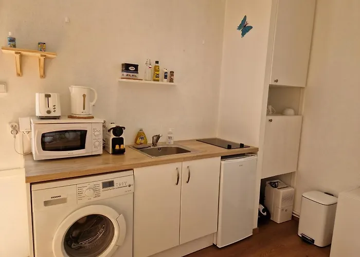 Tiny House Avec Jardin Spacieux *